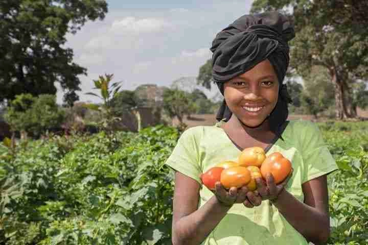 Girl in field with handful of tomatoes