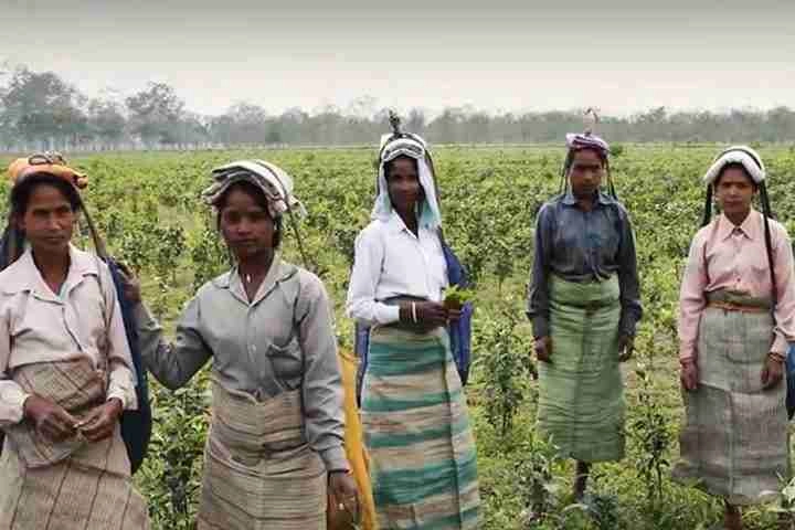 Women in field